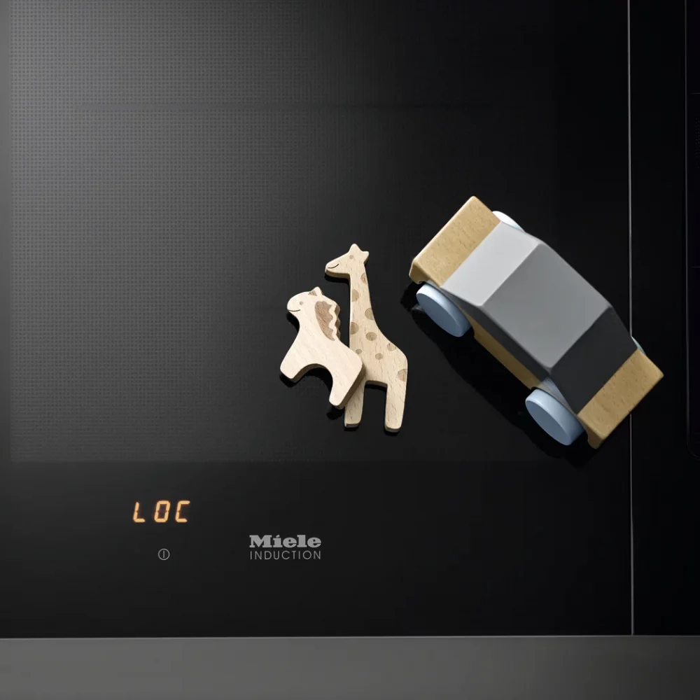 Anafe modular por inducción