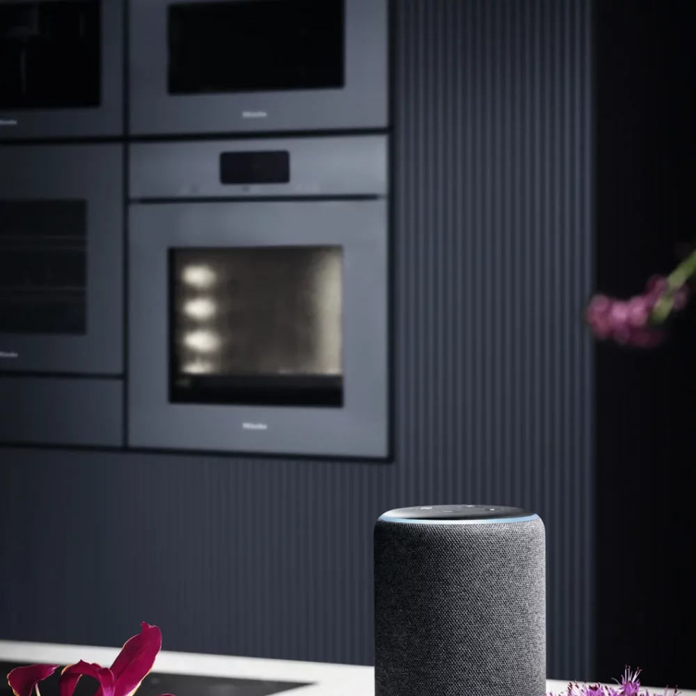 Horno combinado con microondas